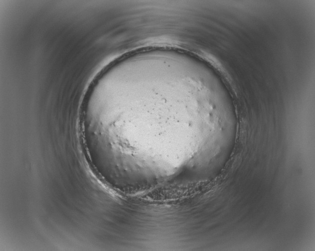 X0000080671331200701050958