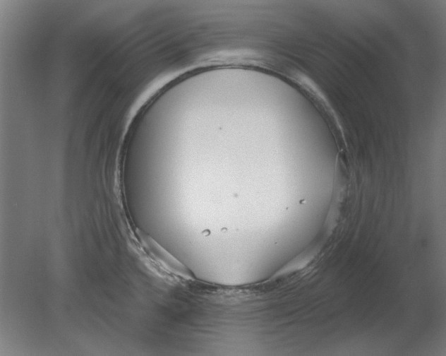 X0000080671336200701050958