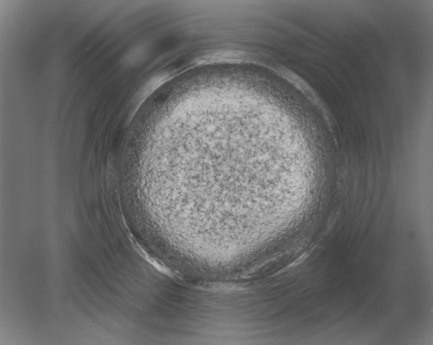 X0000080671337200701050958