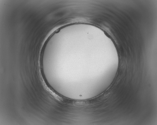 X0000080671339200701050958