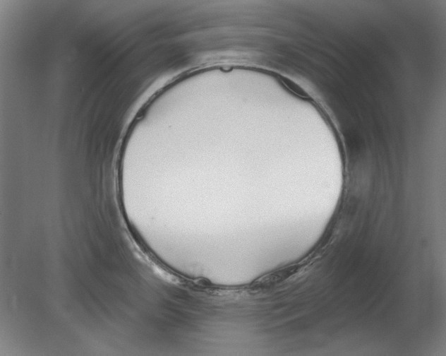 X0000080671341200701050958