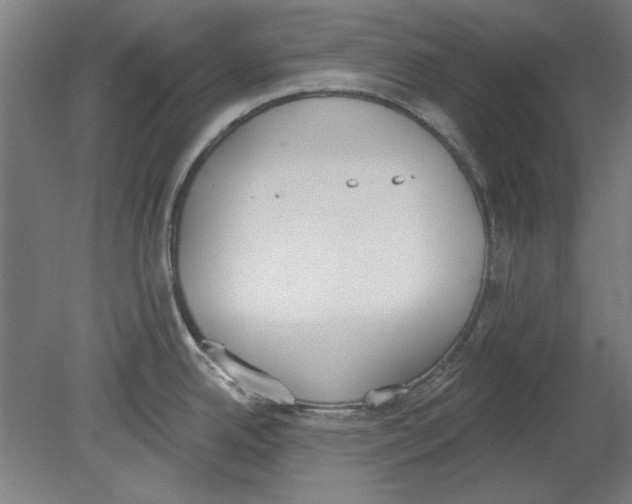 X0000080671342200701050958