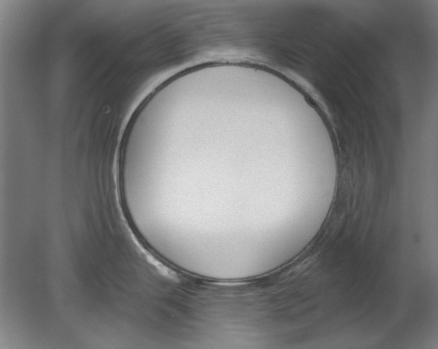 X0000080671343200701050959