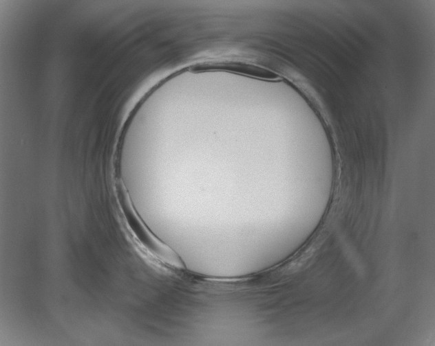 X0000080671344200701050959