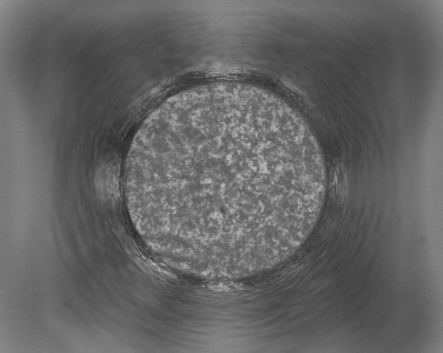 X0000080671348200701050958