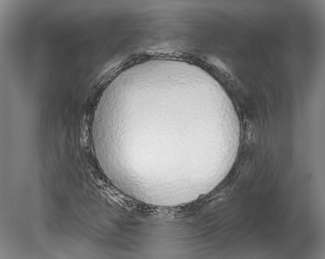 X0000080671350200701050958