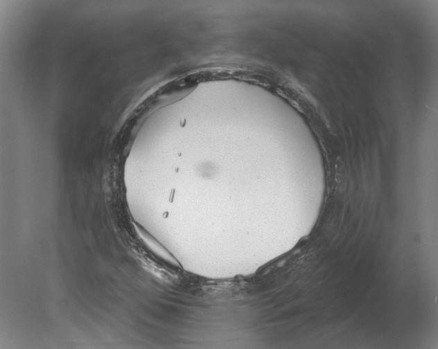 X0000080671352200701050958