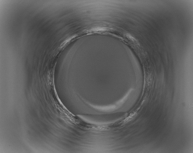 X0000080671353200701050958