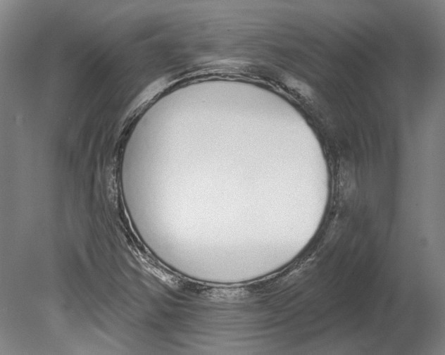 X0000080671354200701050958