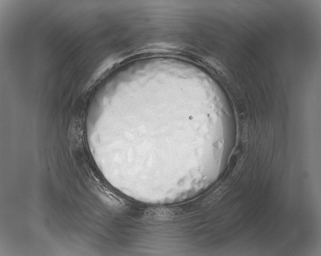 X0000080671355200701050958