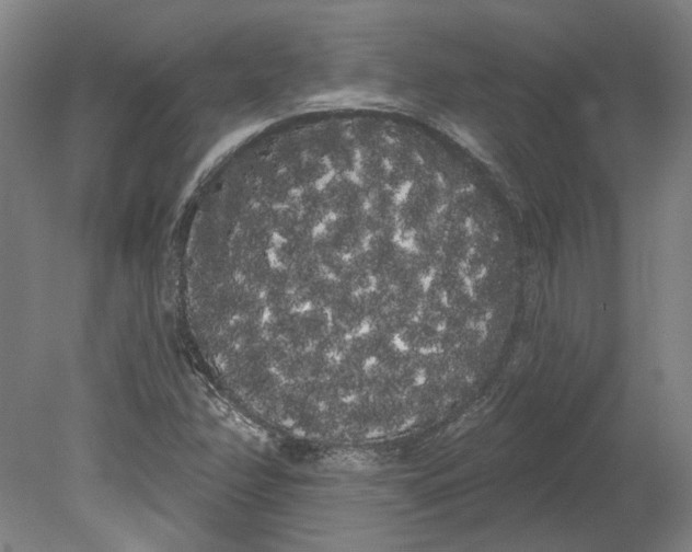 X0000080671358200701050958