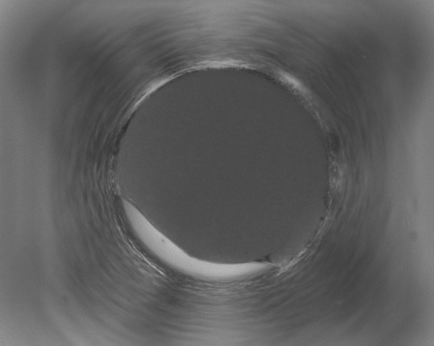 X0000080671361200701050957