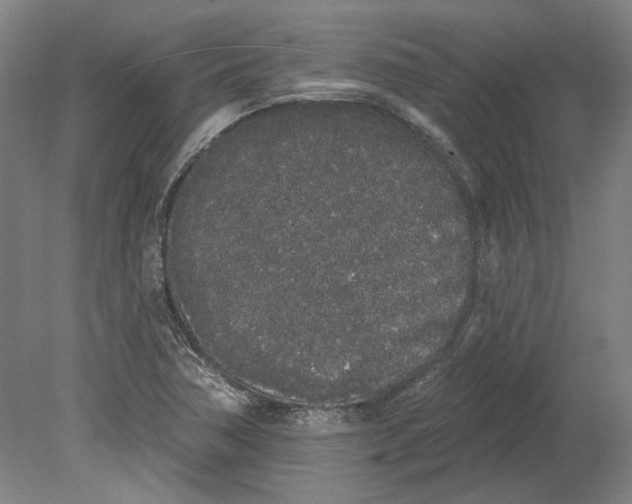 X0000080671362200701050957