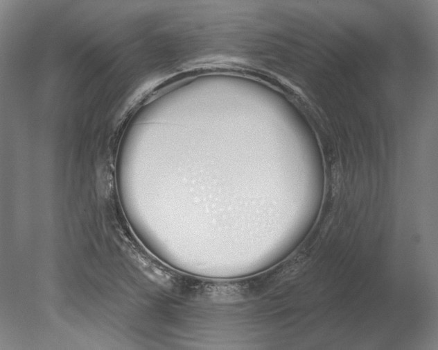 X0000080671363200701050957