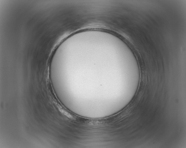 X0000080671366200701050957