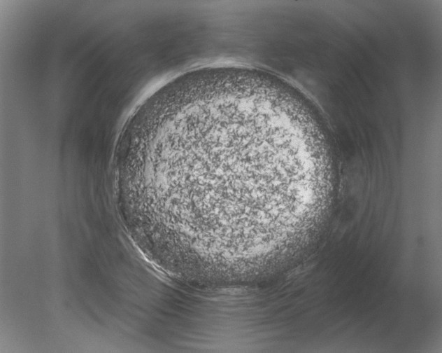 X0000080671367200701050957