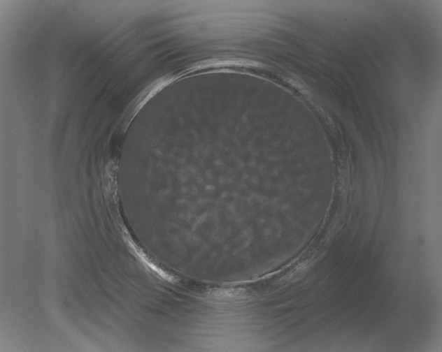 X0000080671369200701050957