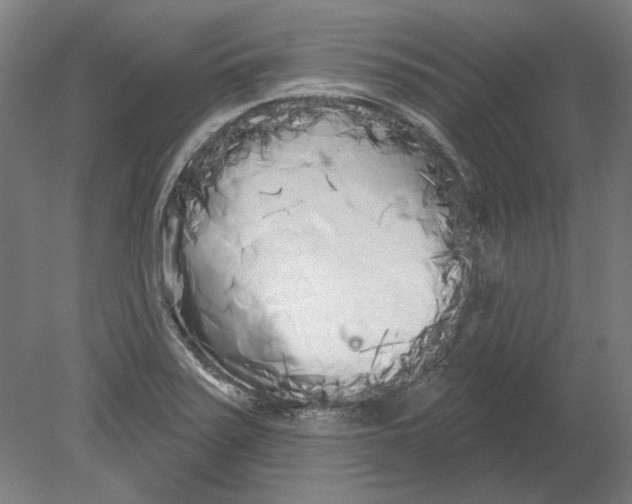 X0000080671371200701050957