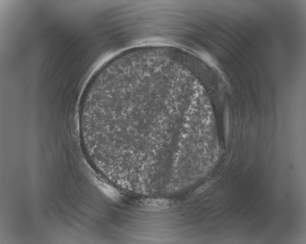 X0000080671372200701050957