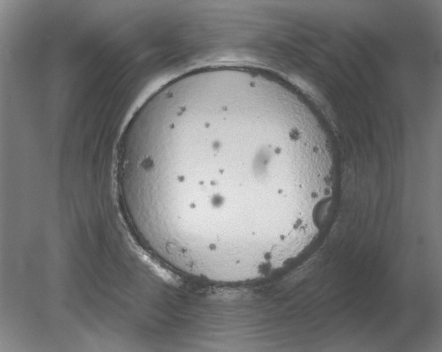 X0000080671374200701050957