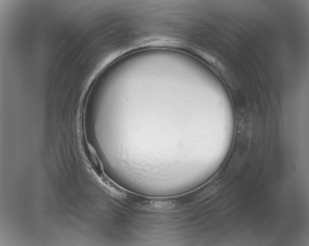 X0000080671375200701050957