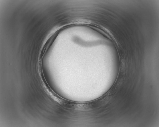 X0000080671379200701050957