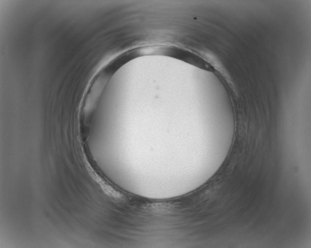 X0000080671380200701050957