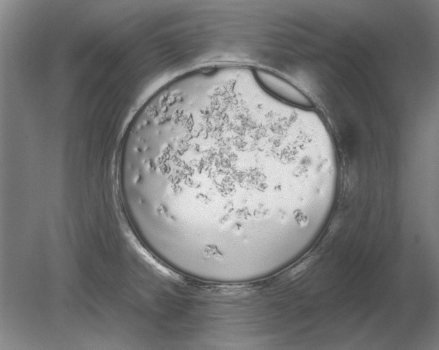 X0000080671382200701050957