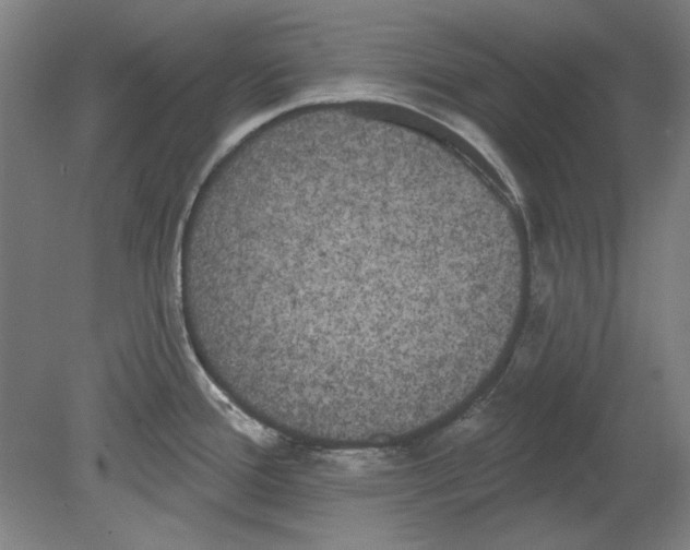 X0000080671388200701050957