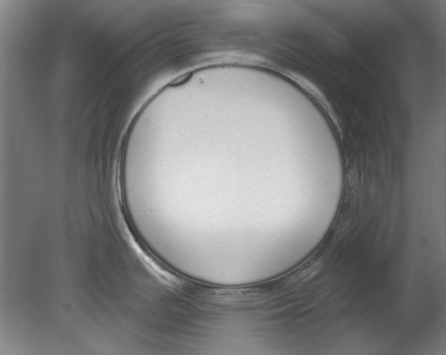 X0000080671391200701050957