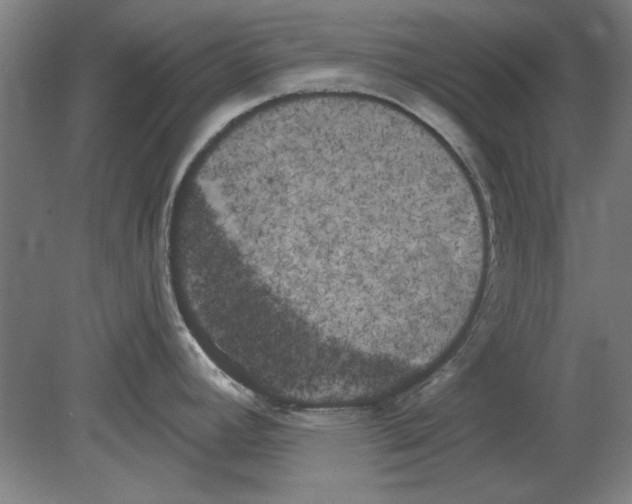 X0000080671392200701050957