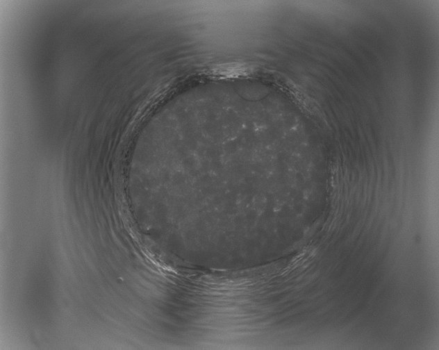 X0000080671393200701050956