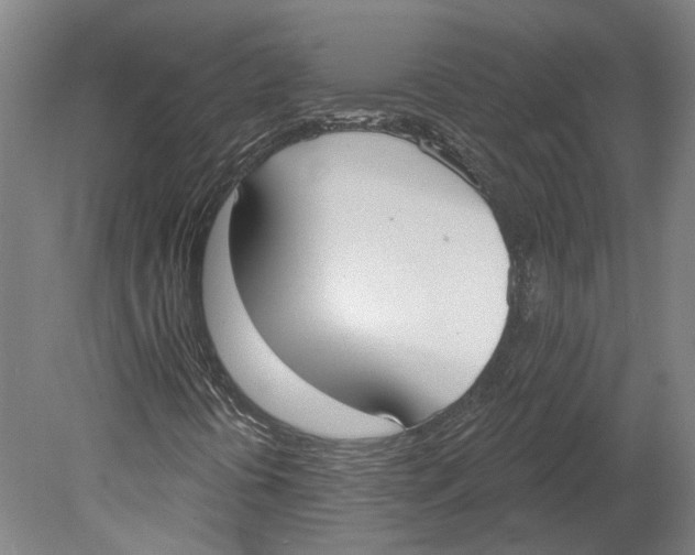 X0000080671394200701050956