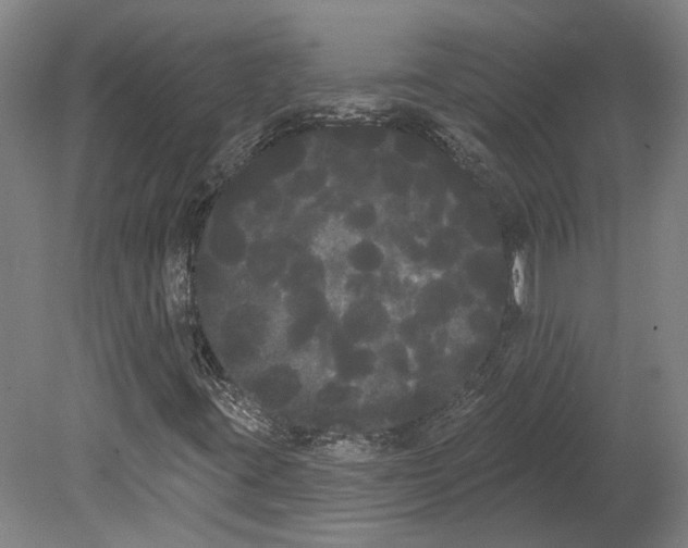 X0000080671395200701050956