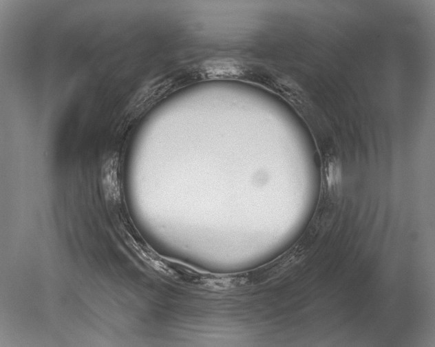 X0000080671396200701050956