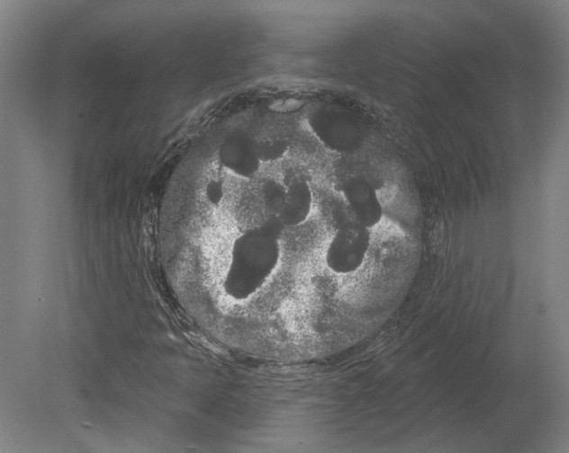 X0000080671397200701050956