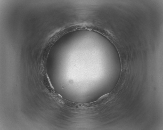 X0000080671398200701050956