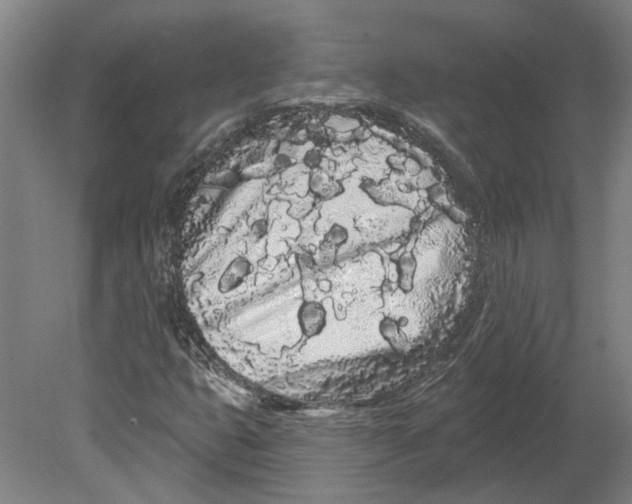 X0000080671399200701050956