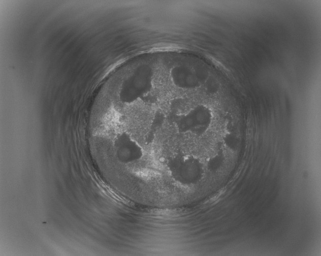 X0000080671401200701050956