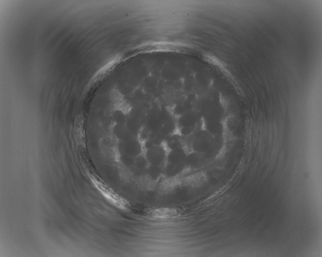 X0000080671403200701050956