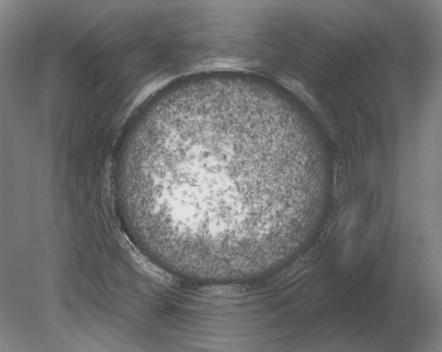 X0000080671404200701050956