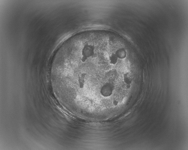 X0000080671405200701050956