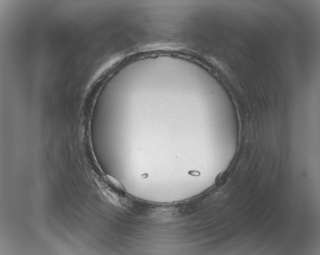 X0000080671406200701050956