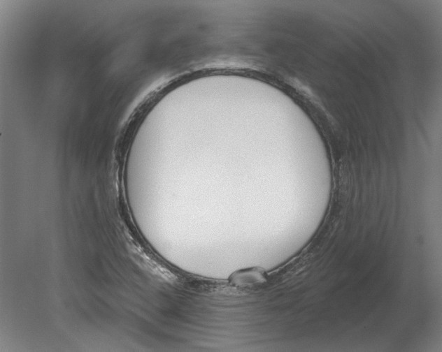 X0000080671408200701050956