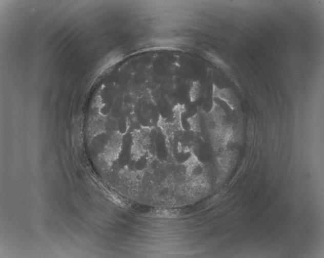 X0000080671411200701050956