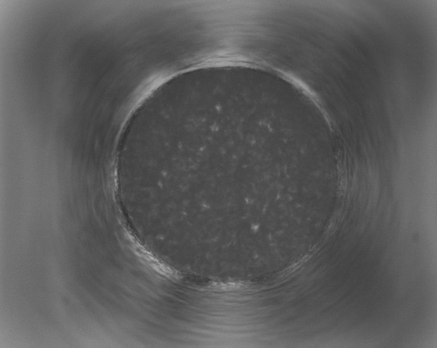 X0000080671415200701050957