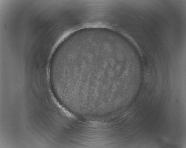 X0000080671416200701050957