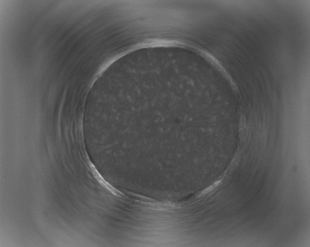 X0000080671417200701050957