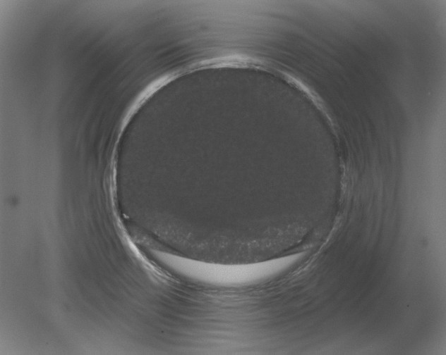 X0000080671418200701050957