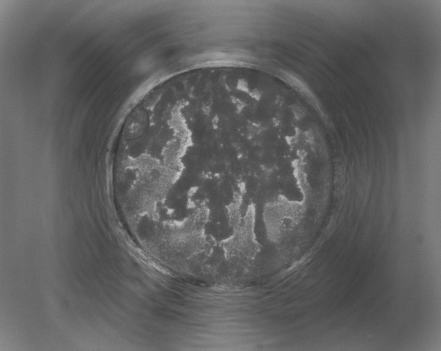 X0000080671419200701050957